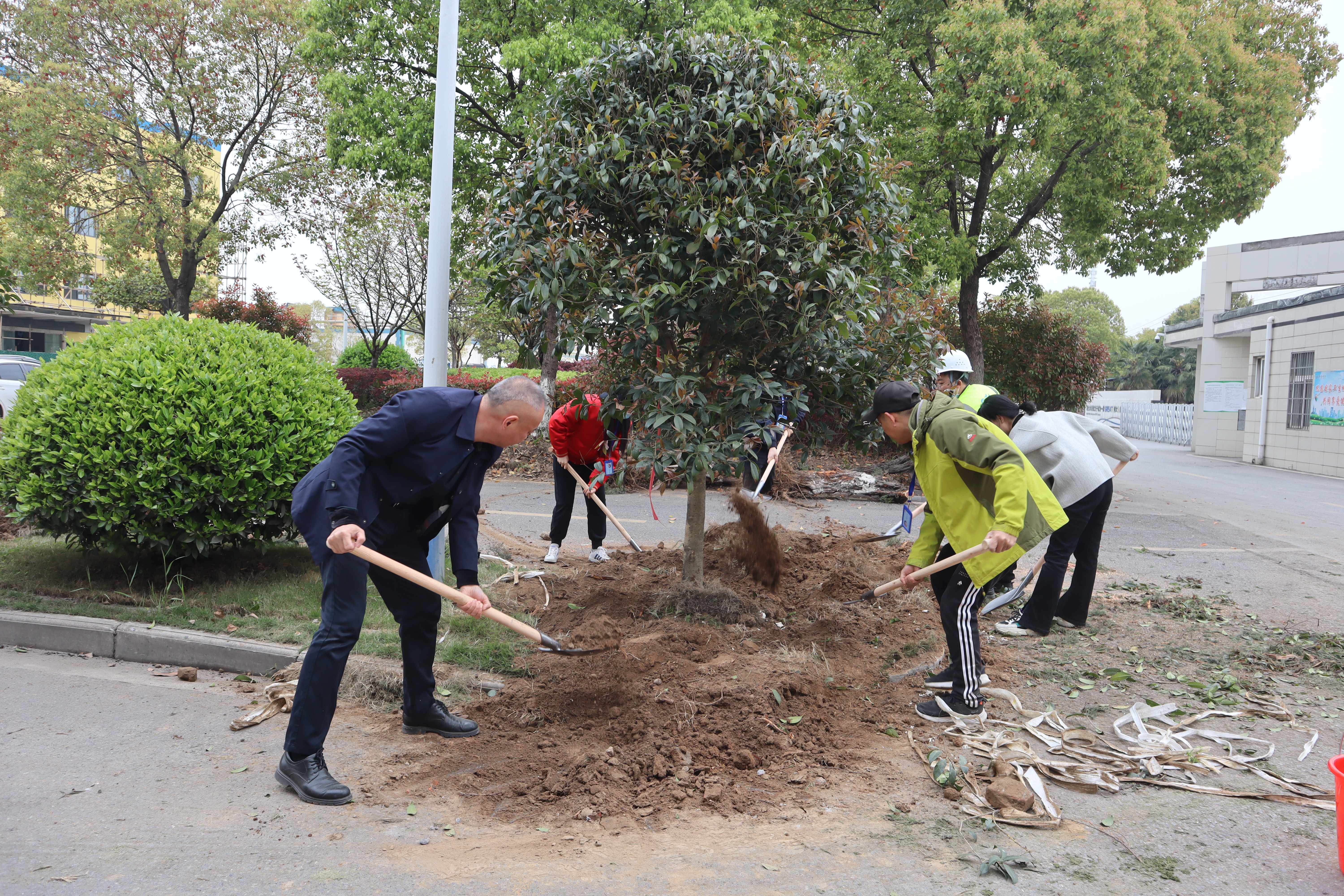 Z6��������ʱ���й����š��ٷ���վ