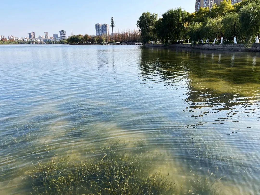 Z6��������ʱ���й����š��ٷ���վ