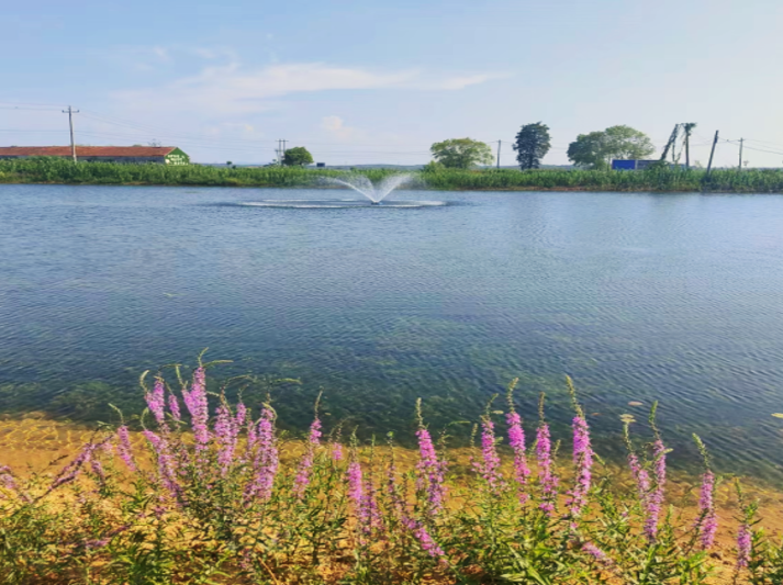 Z6��������ʱ���й����š��ٷ���վ