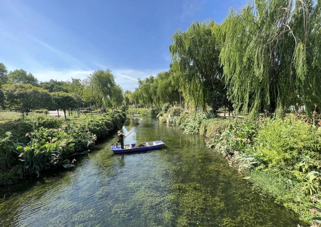 Z6��������ʱ���й����š��ٷ���վ