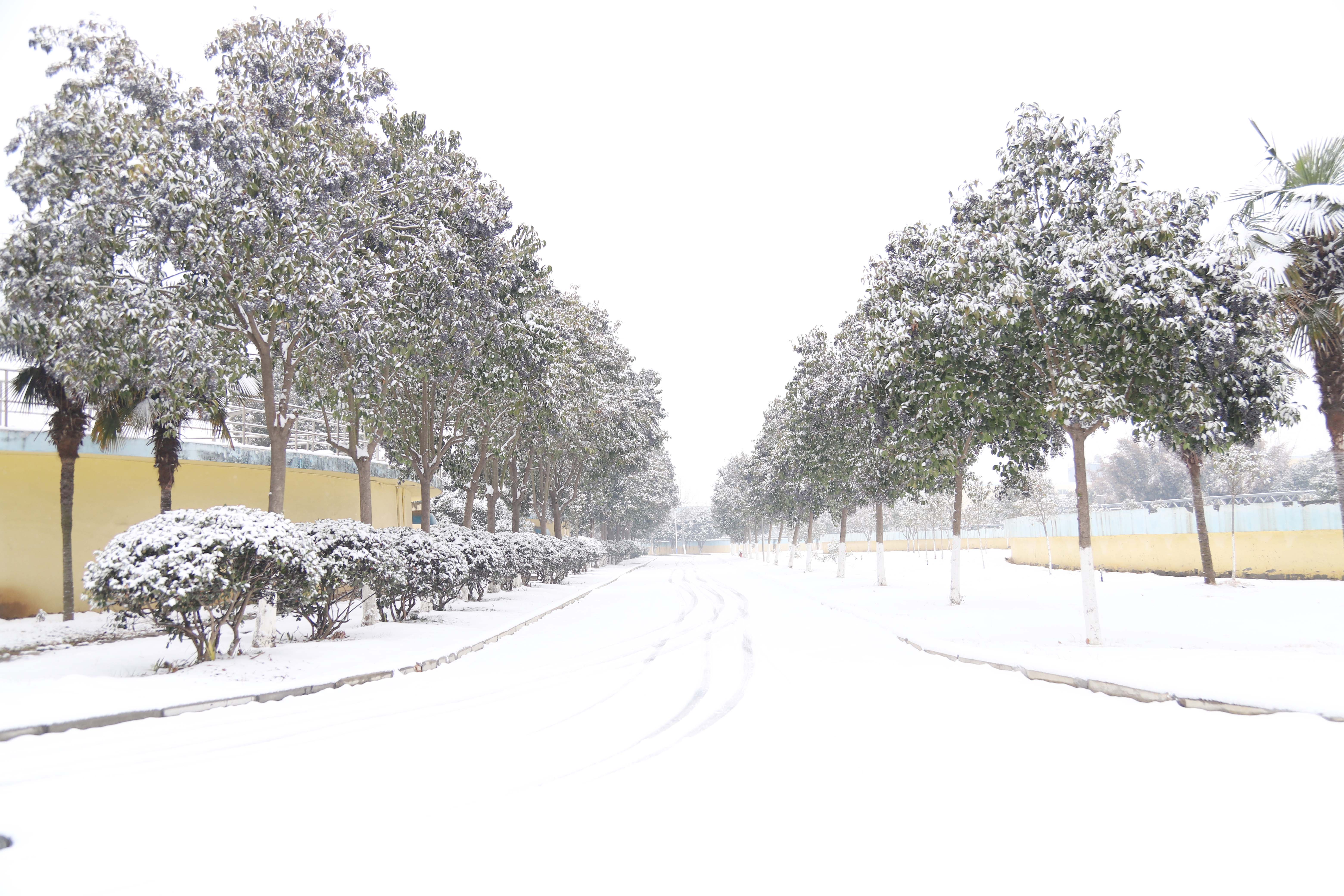 Z6��������ʱ���й����š��ٷ���վ