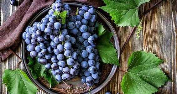 Z6��������ʱ���й����š��ٷ���վ